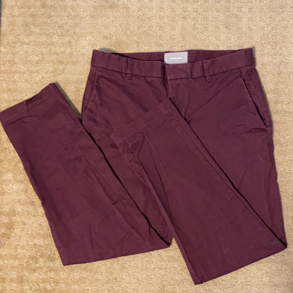Everlane flat front chinos maroon/burgundy slim